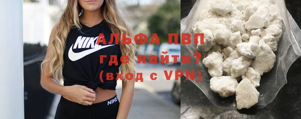 ПСИЛОЦИБИНОВЫЕ ГРИБЫ Козловка
