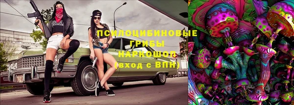 сатива Корсаков
