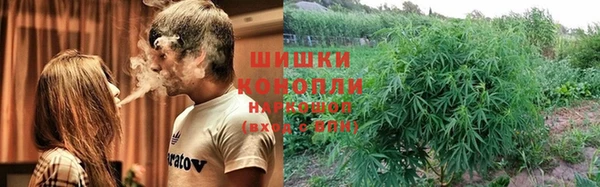 сатива Корсаков