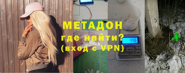 сатива Корсаков