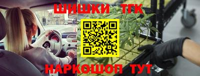 крисы Краснодар