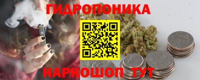 крисы Краснодар