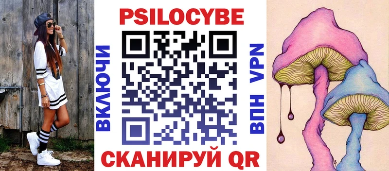 кракен зеркало  Кольчугино  Галлюциногенные грибы мицелий 