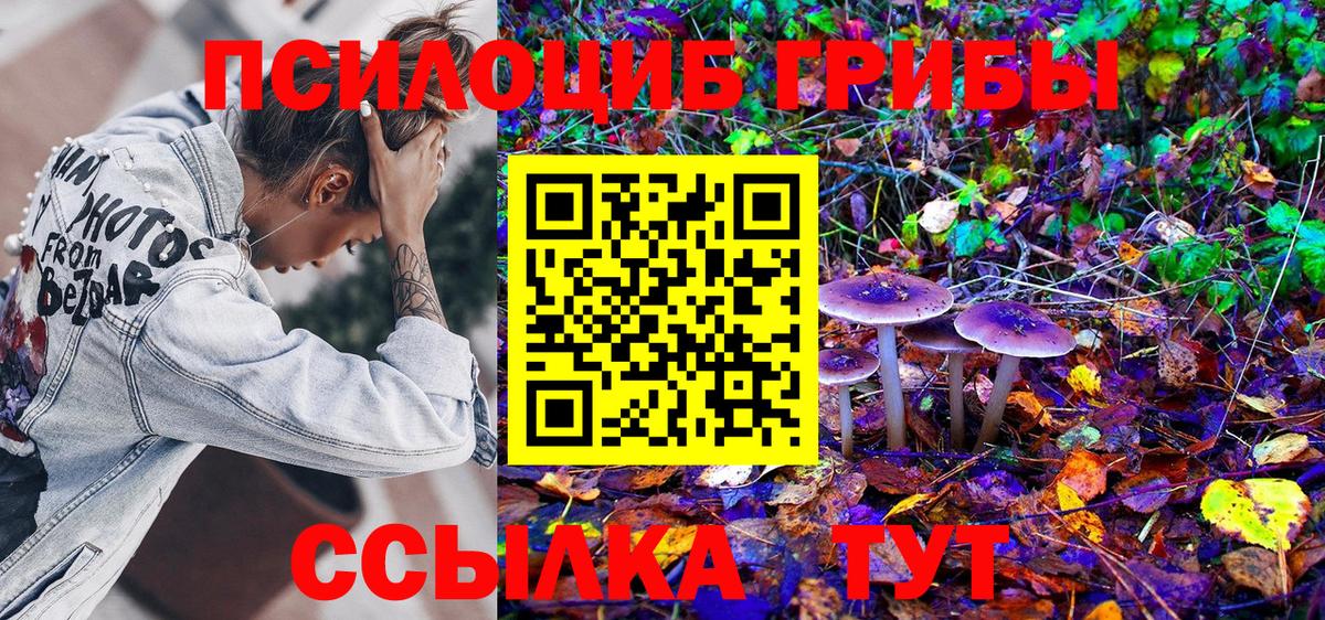 Кольчугино  Псилоцибиновые грибы MAGIC MUSHROOMS  как найти   Вход с VPN 